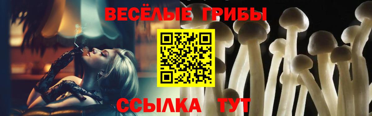 купить наркотики сайты  Галлюциногенные грибы прущие грибы  Вход с VPN  Кемерово 